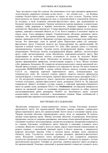 Пример протокола вскрытия трупа от Вованыч