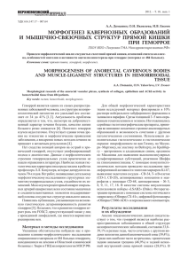 МОРФОГЕНЕЗ  КАВЕРНОЗНЫХ  ОБРАЗОВАНИЙ ПРИ  ГЕМОРРОЕ