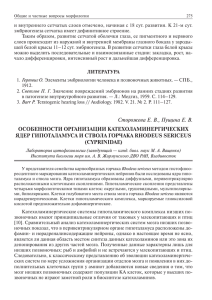 Сторожева Е. В., Пущина Е. В. ОСОБЕННОСТИ ОРГАНИЗАЦИИ