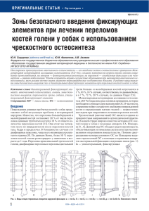 Зоны безопасного введения фиксирующих элементов при лечении переломов