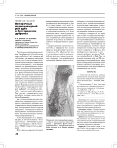 Поперечный надломовидный рак дуба в белгородских дубравах