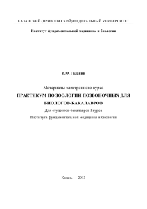 Материалы электронного курса ПРАКТИКУМ ПО ЗООЛОГИИ