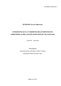 На правах рукописи  ШТЫКОВА Юлия Рафиковна СИМБИОНТНАЯ И АССОЦИИРОВАННАЯ МИКРОФЛОРА