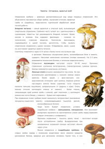 Памятка - Осторожно, ядовитый гриб! Отравление грибами