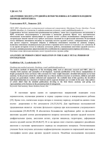 удк 611.712 анатомия скелета грудной клетки человека в раннем