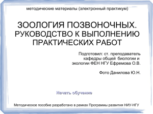 ЗООЛОГИЯ ПОЗВОНОЧНЫХ. РУКОВОДСТВО К ВЫПОЛНЕНИЮ ПРАКТИЧЕСКИХ РАБОТ