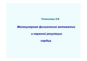 Молекулярная физиология автоматии и нервной регуляции сердца