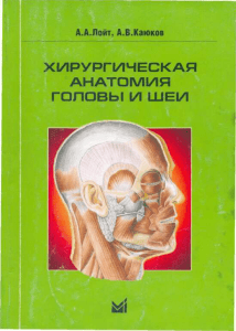 Хирургическая анатомия головы и шеи