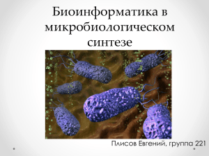Биоинформатика в микробиологическом синтезе