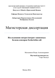 Исследование нитрат/нитрит-зависимых белков