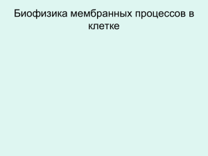 Биофизика мембранных процессов в клетке