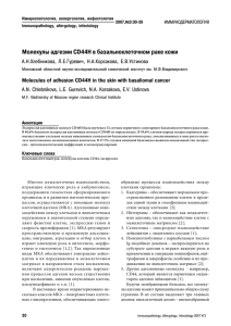 Молекулы адгезии CD44H в базальноклеточном раке кожи