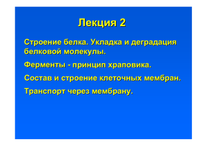 Лекция 2