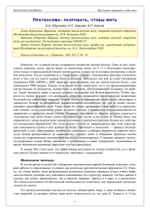 Протеасома: разрушать, чтобы жить