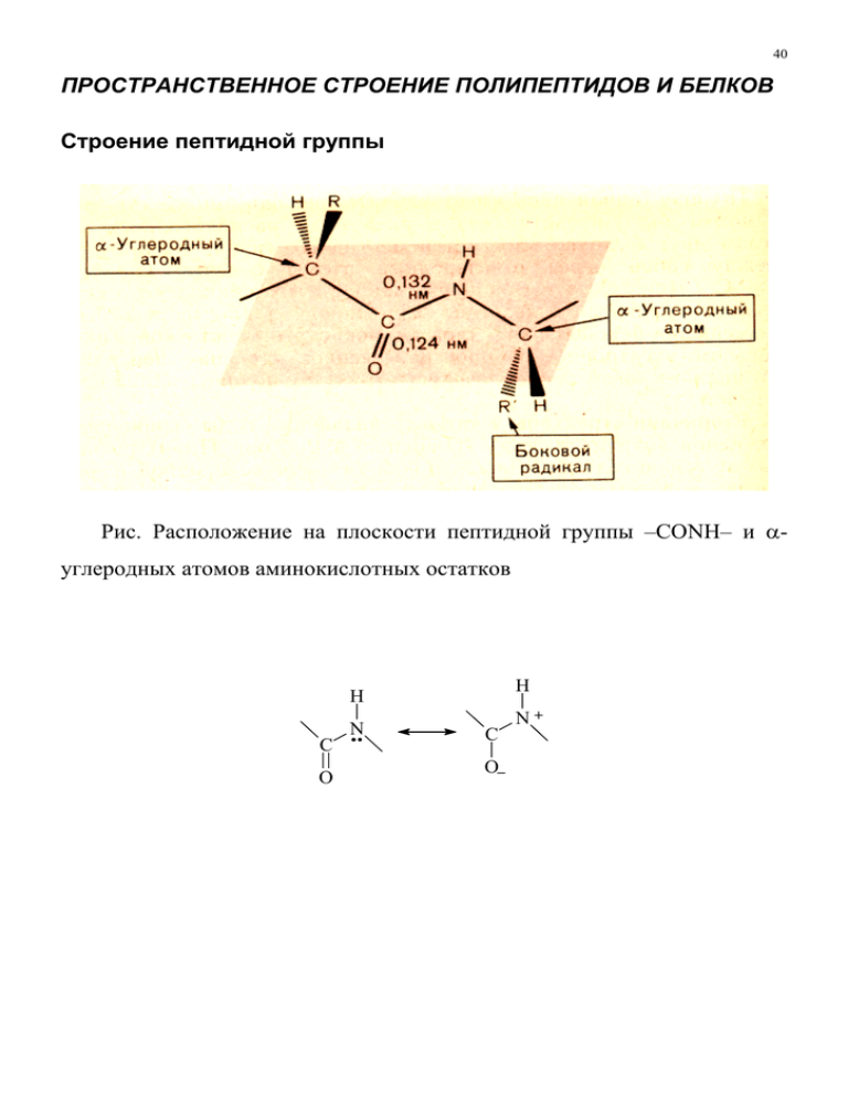 Электронное пространственное строение. Электронное и пространственное строение пептидной группы. Опишите электронное и пространственное строение пептидной связи. Пространственная структура пептидной связи.. Изобразите и поясните электронное строение пептидной связи.