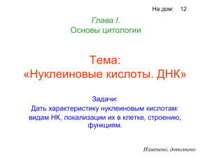 Нуклеиновые кислоты. ДНК