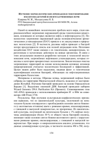 154 Каирова М. Ж., Молдагулова Н. Б. Одной из важнейших