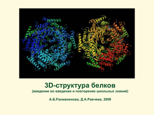 3D-структура белков (введение во введение и повторение школьных знаний) А.Б.Рахманинова, Д.А.Равчеев, 2009