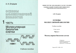 ОСНОВЫ МОЛЕКУЛЯРНОЙ БИОЛОГИИ Молекулярная биология