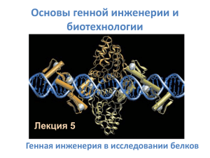 Генная инженерия в конструировании белков (pdf, 4258КБ)