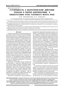 Журнал ГГМУ 2005 № 1 ОРИГИНАЛЬНЫЕ ИССЛЕДОВАНИЯ