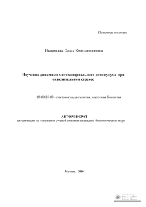 Изучение динамики митохондриального ретикулума при