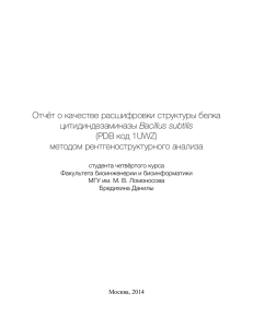 Отчёт о качестве расшифровки структуры белка