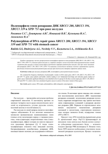 Полиморфизм генов репарации ДНК XRCC1 280, XRCC1 194