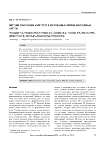 Система глутатиона участвует в регуляции апоптоза опухолевых