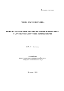 Автореферат Розовой О.Н.