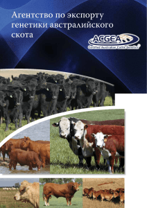Агентство по экспорту генетики австралийского скота