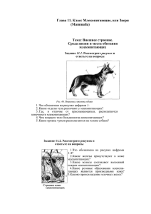 Глава 11. Класс Млекопитающие, или Звери (Mammalia) Тема