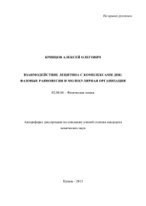 На правах рукописи КРИВЦОВ АЛЕКСЕЙ ОЛЕГОВИЧ
