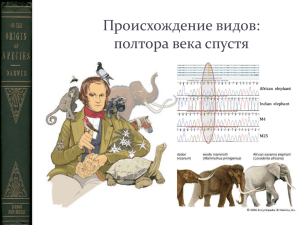 Происхождение видов: механизмы эволюции