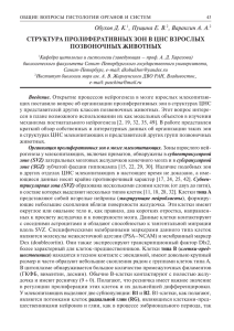 Обухов Д. К.1, Пущина Е. В.2, Вараксин А. А.2 СТРУКТУРА