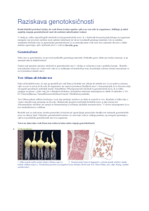 Genotoksičnost Test Allium ali čebulni test