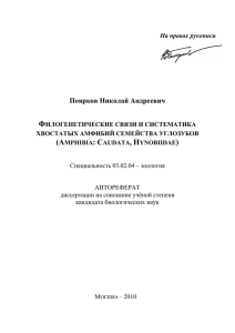 Поярков Н.А., 2010