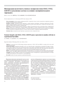 HAS2, COX2, тиреоидита GREM1 К.б.н., ст.н.с. Е.А. ШЕПЕЛЬ, Т.В. БЛАШКИВ, Т.Ю. ВОЗНЕСЕНСКАЯ