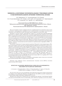 ЭФФЕКТЫ АЛЛОГЕННЫХ МЕЗЕНХИМАЛЬНЫХ СТВОЛОВЫХ КЛЕТОК В ЭКСПЕРИМЕНТАЛЬНОМ ЛЕЧЕНИИ ЭМФИЗЕМЫ ЛЕГКИХ