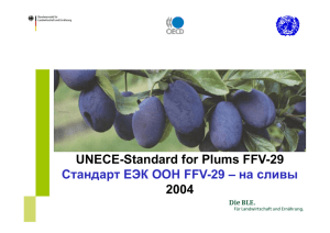 UNECE-Standard for Plums FFV-29 Стандарт ЕЭК ООН FFV