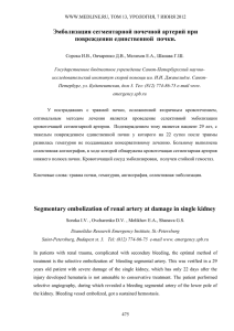 Эмболизация сегментарной почечной артерий при повреждении единственной  почки.