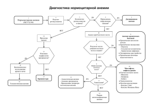 Алгоритм лабораторной диагностики нормоцитарной анемии