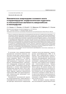 Ишемическое повреждение головного мозга в кардиохирургии