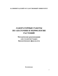 лабораторные работы по анатомии и морфологии растений