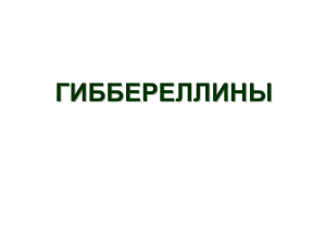 Гиббереллины. Цитокинины.