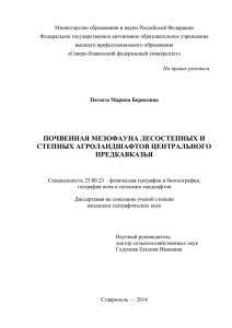 На правах рукописи - Северо-Кавказский федеральный