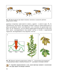 А Тропическое насекомое листовидка зелёная (один из представителей от-