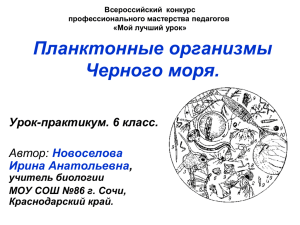 Планктонные организмы Черного моря.