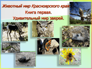 Природа и экология Красноярского края. Урок №13.