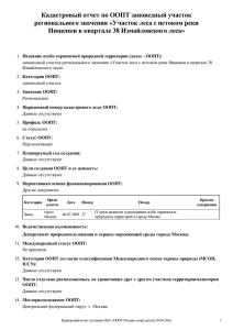 Участок леса с истоком реки Нищенки в квартале 38